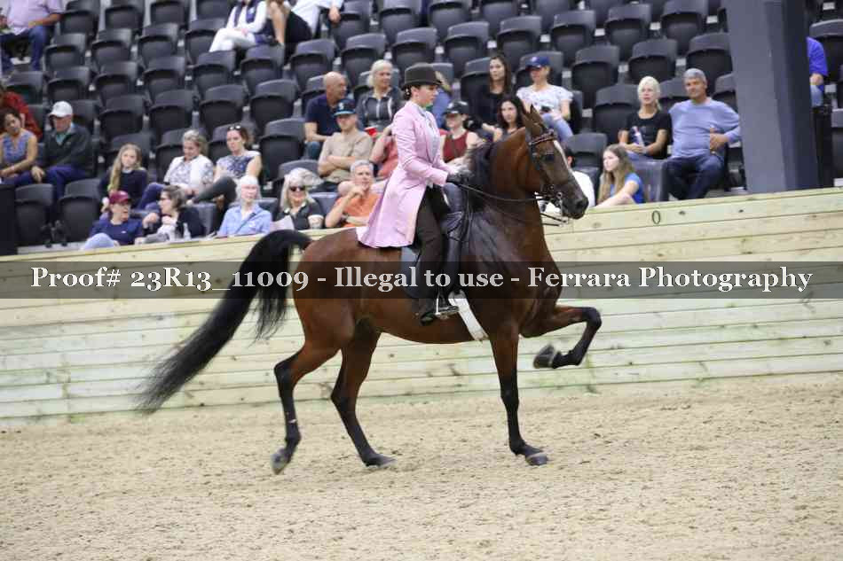Proof Number 23R13_11009