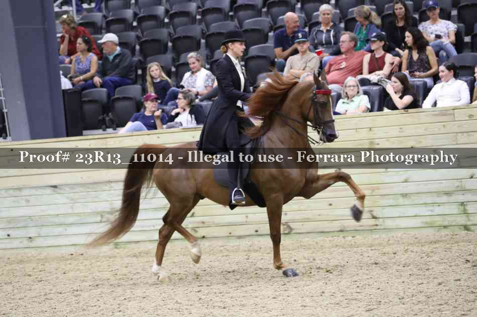 Proof Number 23R13_11014