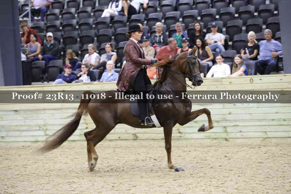 Proof Number 23R13_11018