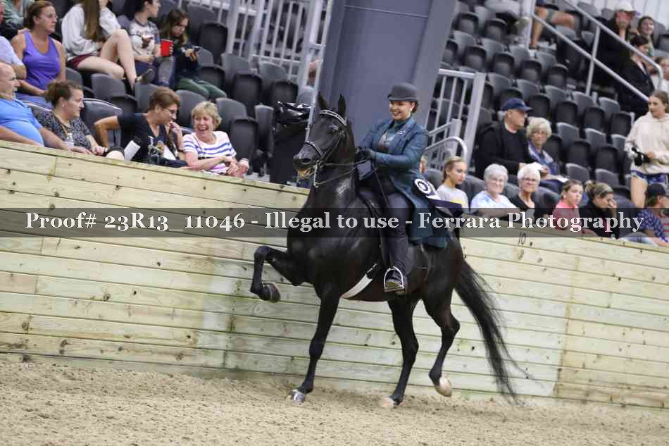 Proof Number 23R13_11046