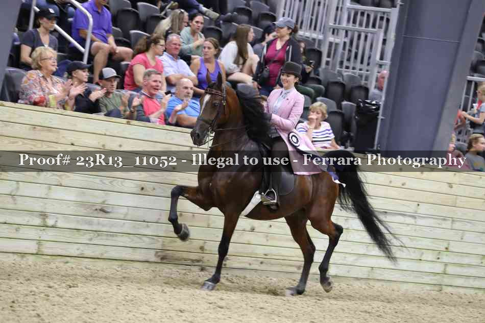 Proof Number 23R13_11052