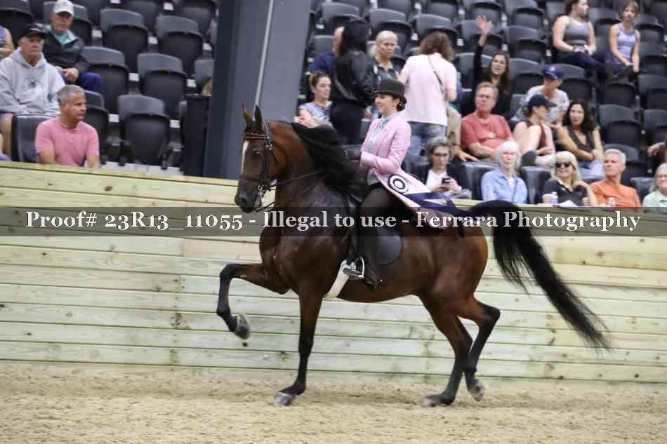 Proof Number 23R13_11055