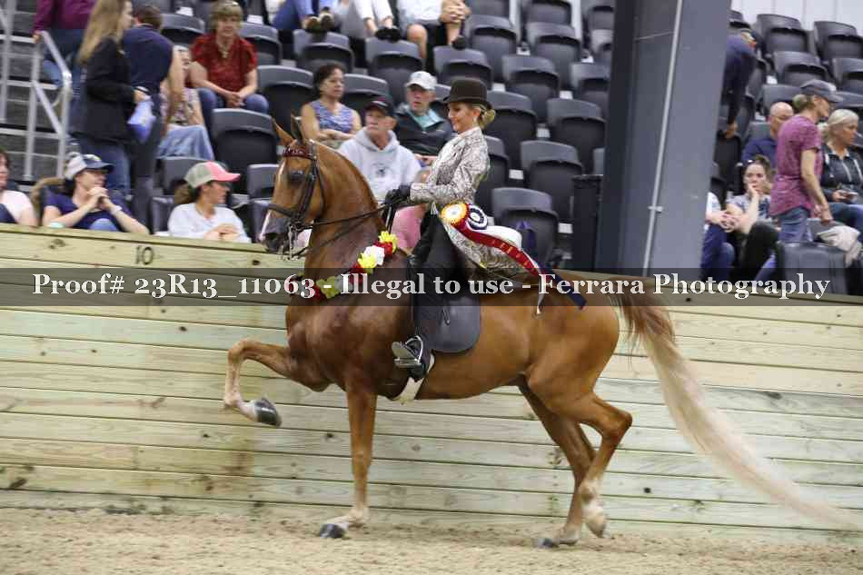 Proof Number 23R13_11063