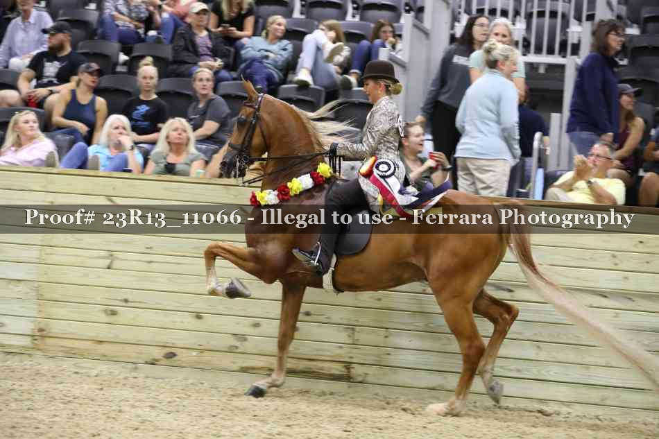 Proof Number 23R13_11066