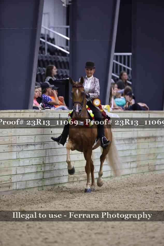 Proof Number 23R13_11069