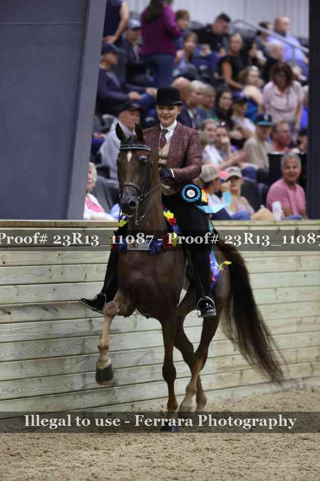 Proof Number 23R13_11087