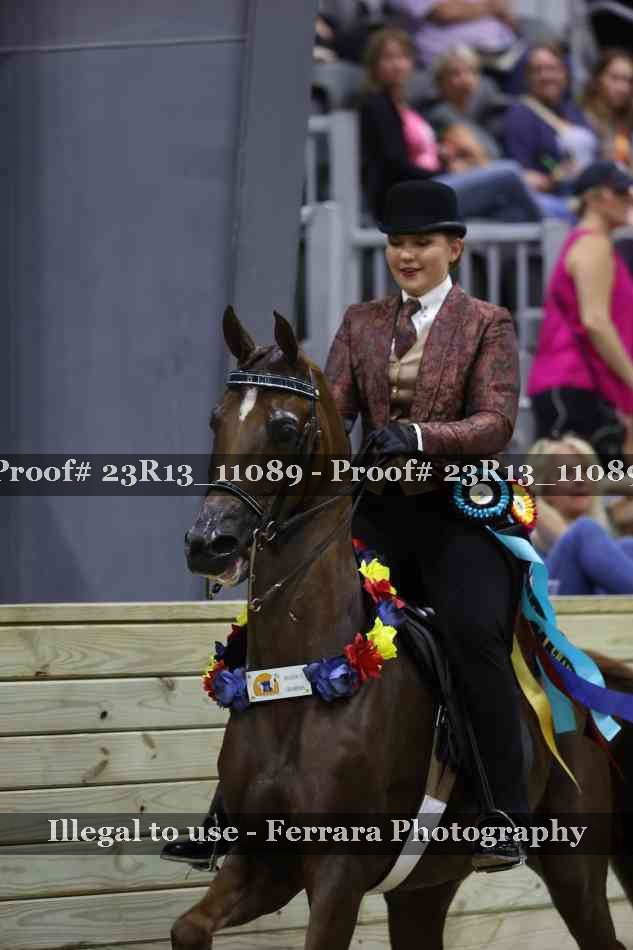 Proof Number 23R13_11089