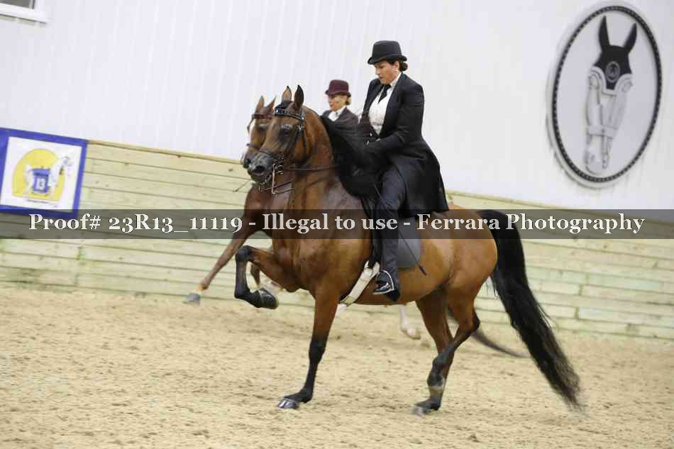 Proof Number 23R13_11119