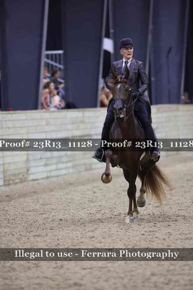 Proof Number 23R13_11128