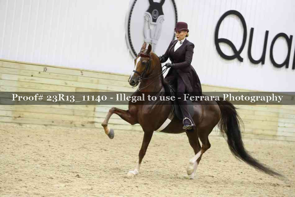 Proof Number 23R13_11140
