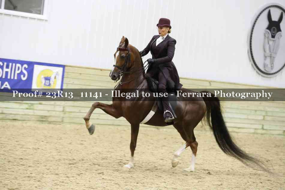 Proof Number 23R13_11141