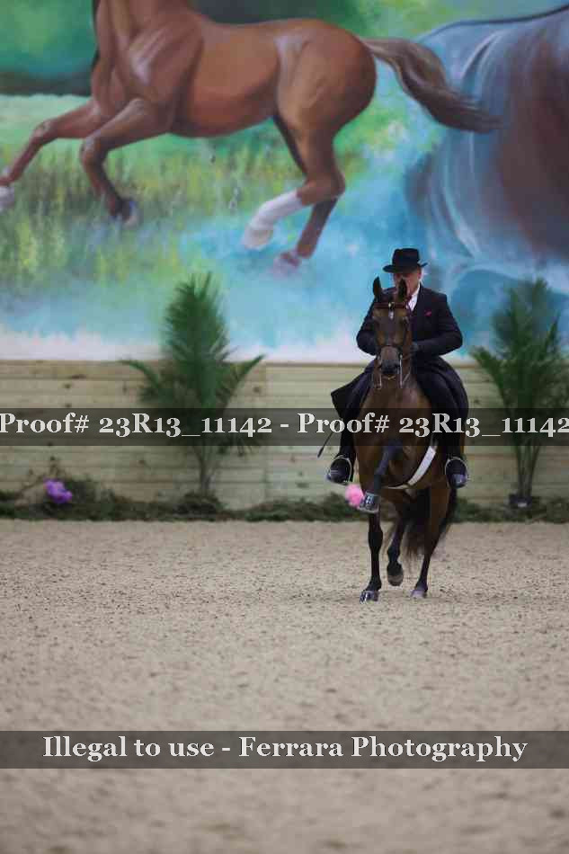 Proof Number 23R13_11142