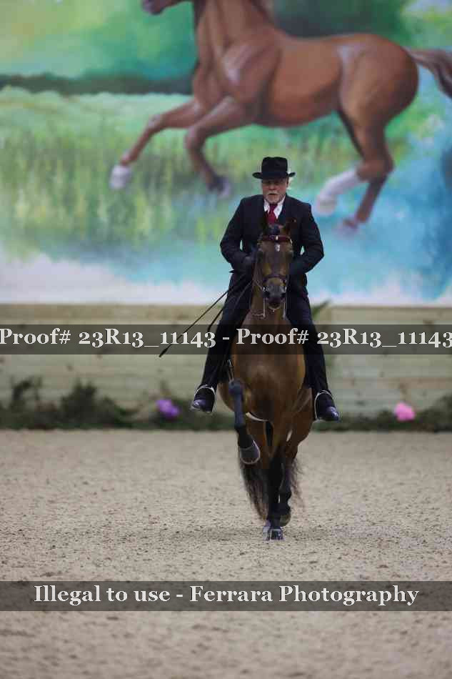 Proof Number 23R13_11143