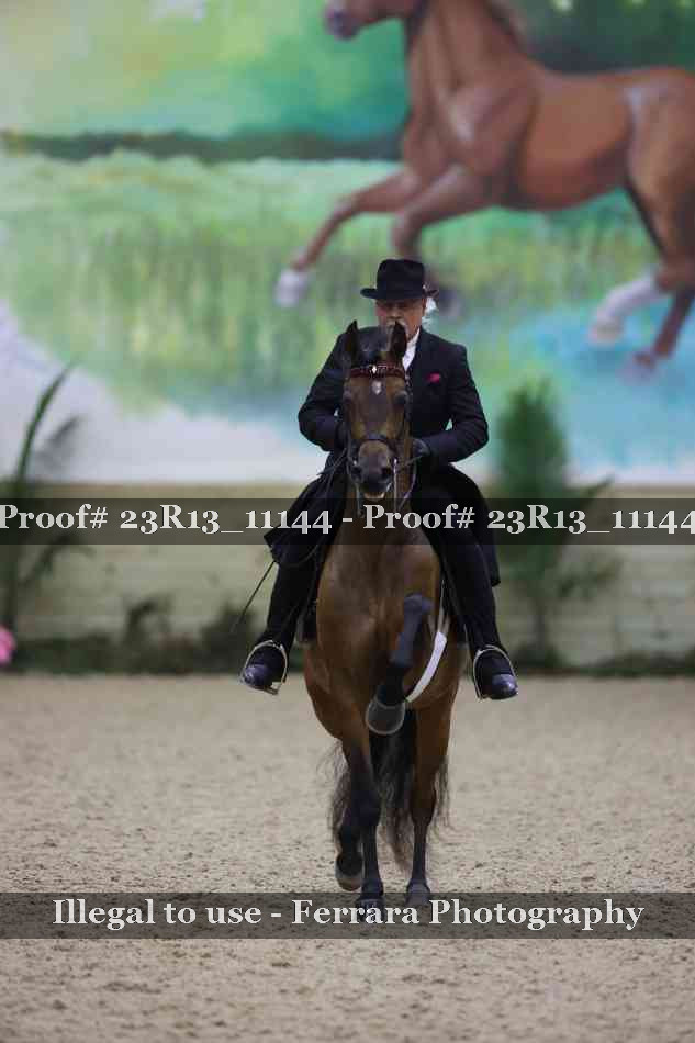 Proof Number 23R13_11144