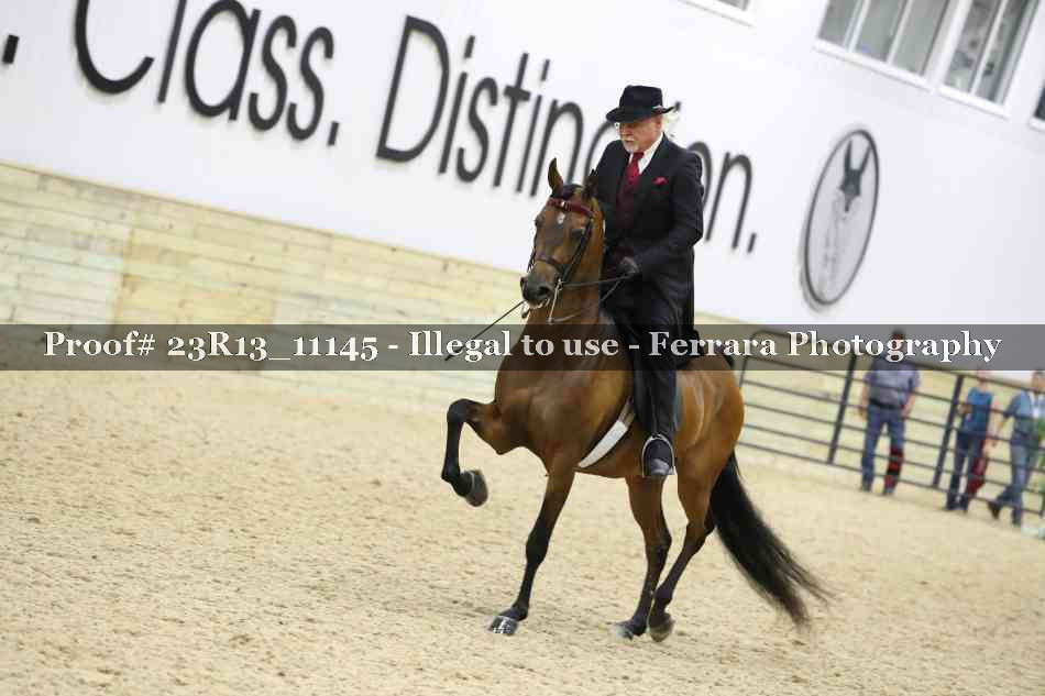 Proof Number 23R13_11145