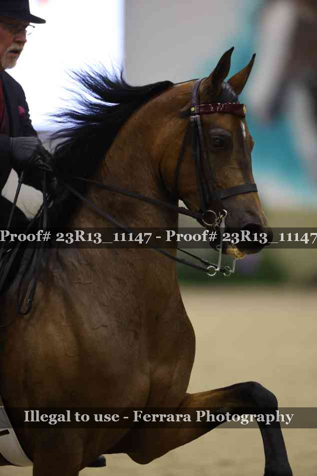 Proof Number 23R13_11147