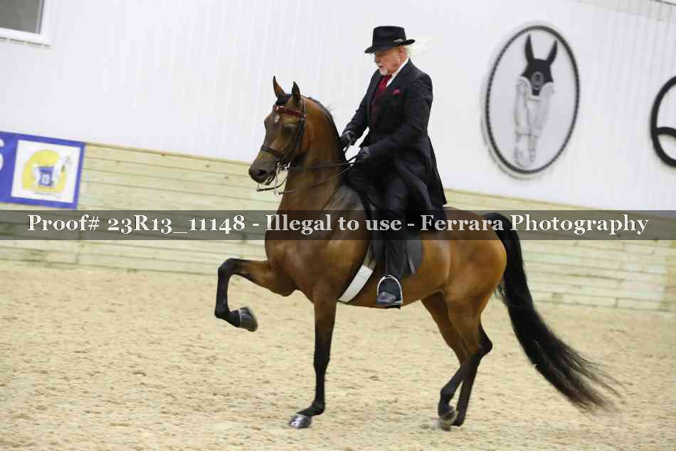 Proof Number 23R13_11148