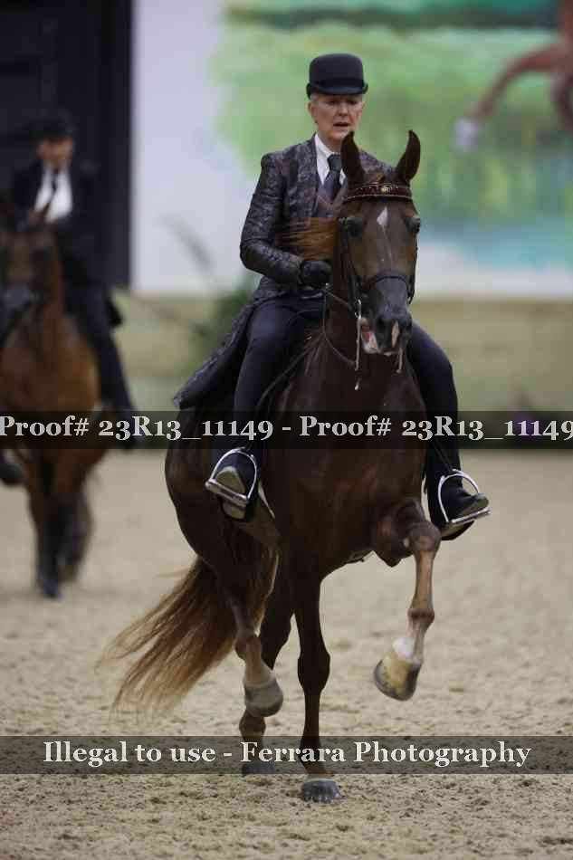 Proof Number 23R13_11149