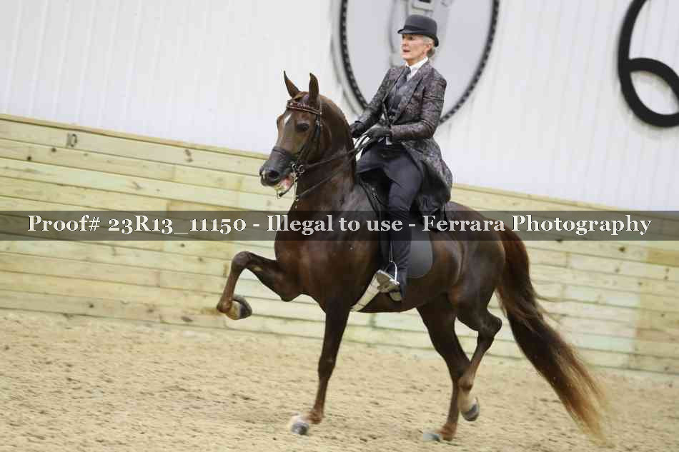 Proof Number 23R13_11150
