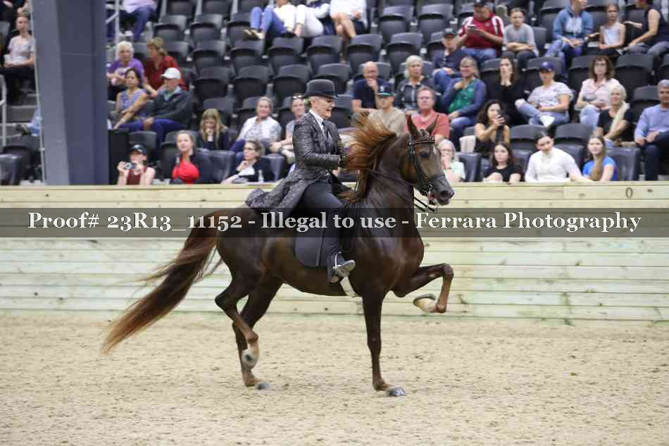 Proof Number 23R13_11152