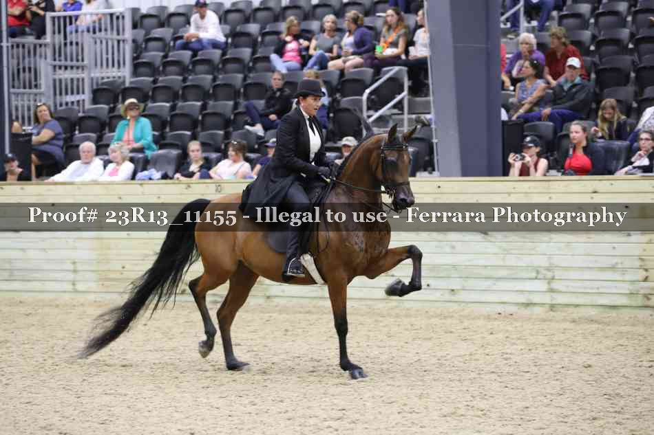 Proof Number 23R13_11155