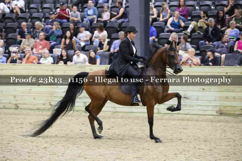 Proof Number 23R13_11156
