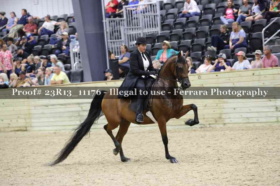 Proof Number 23R13_11176