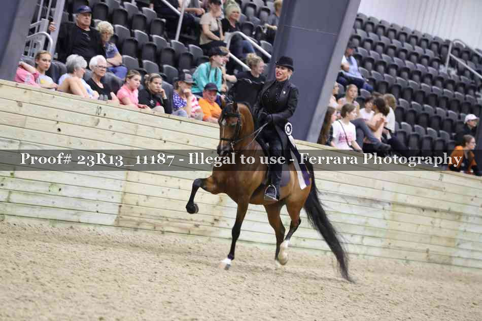Proof Number 23R13_11187