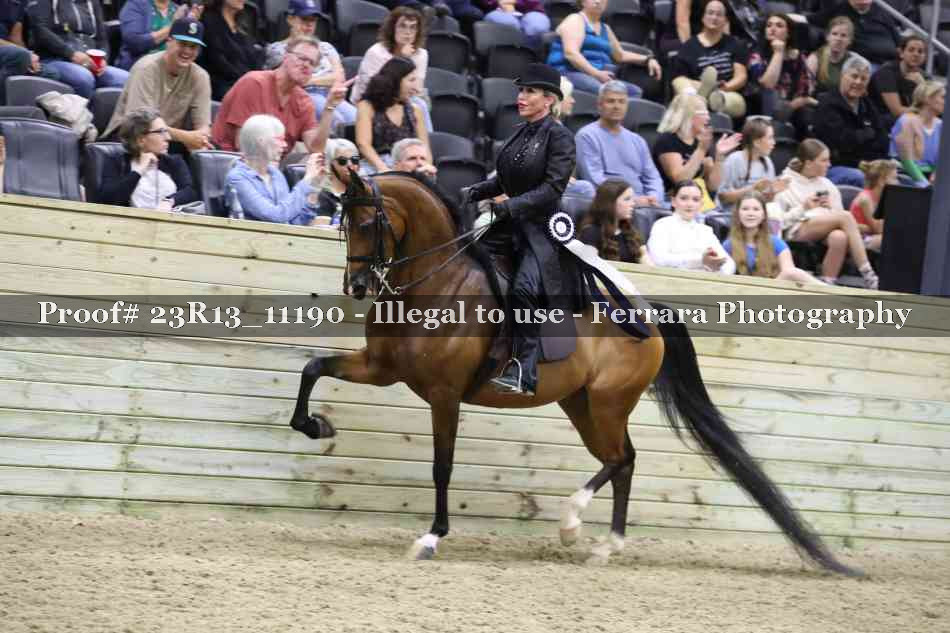 Proof Number 23R13_11190