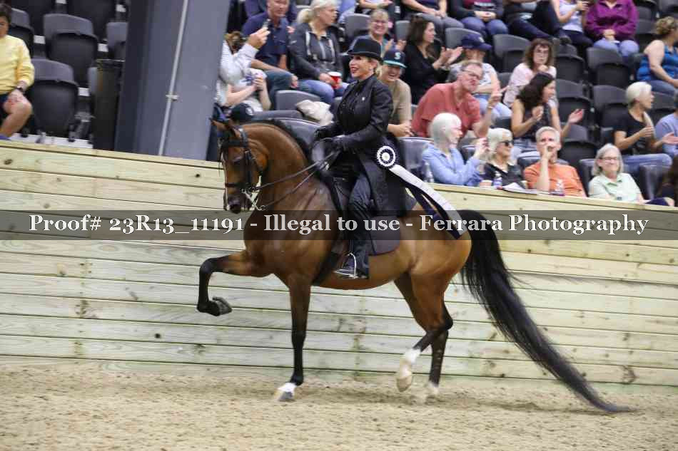Proof Number 23R13_11191