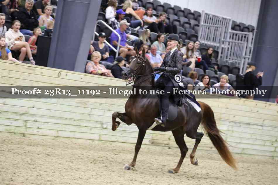 Proof Number 23R13_11192
