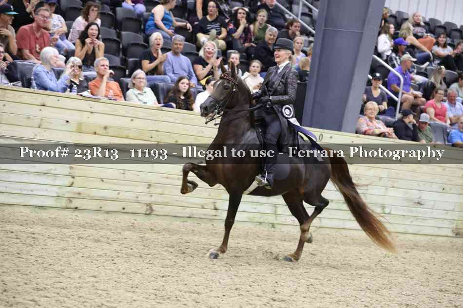 Proof Number 23R13_11193