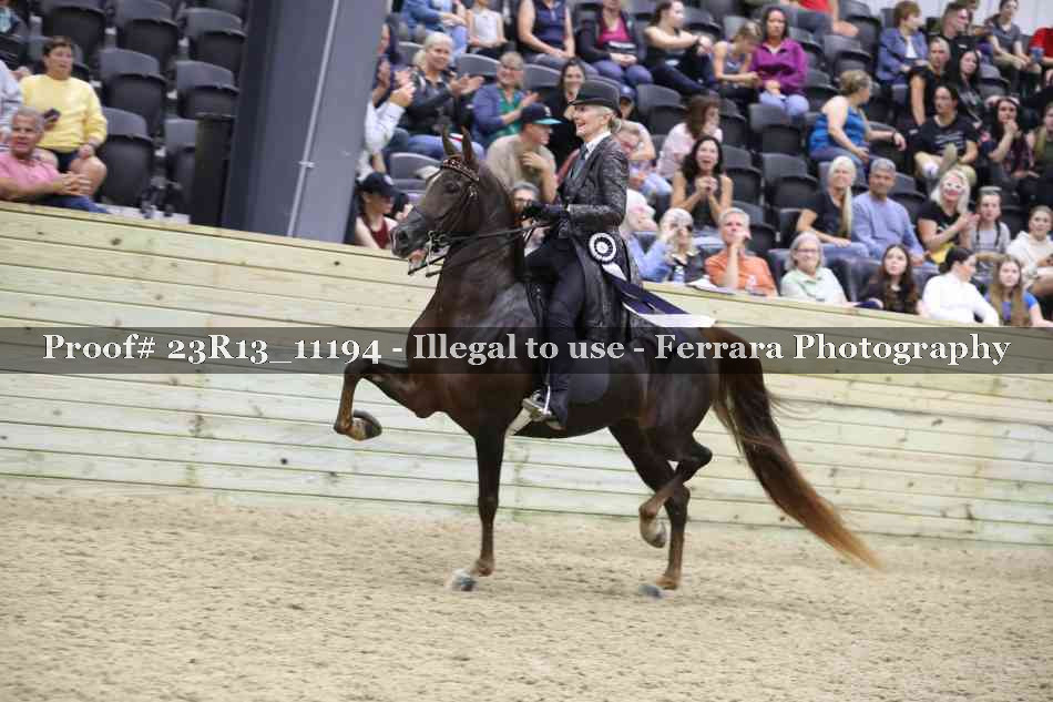 Proof Number 23R13_11194