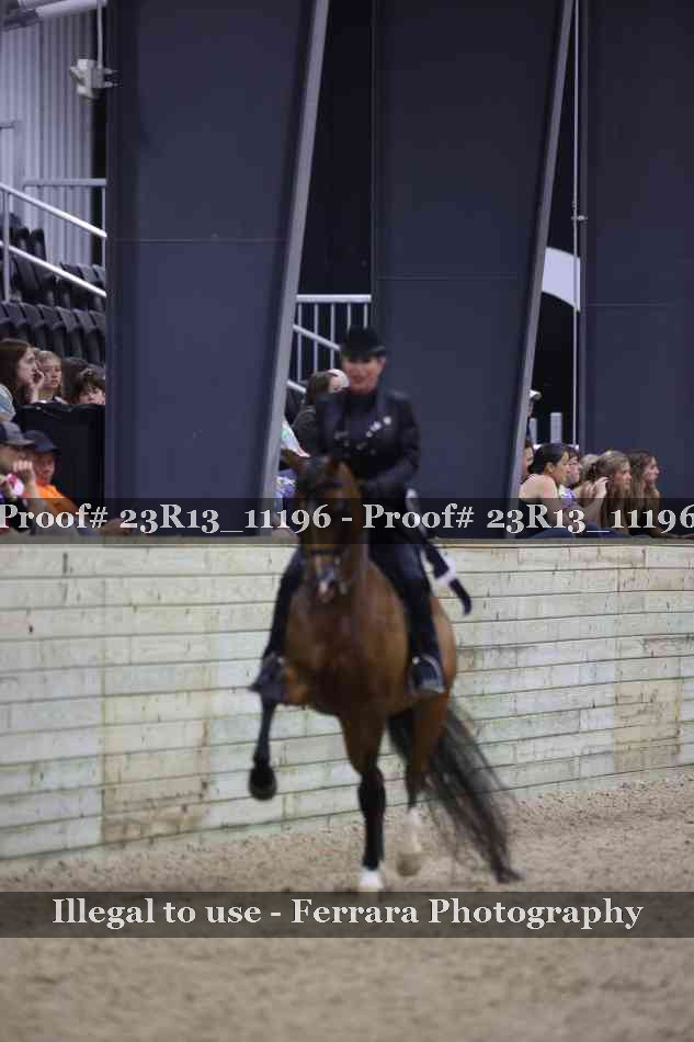 Proof Number 23R13_11196