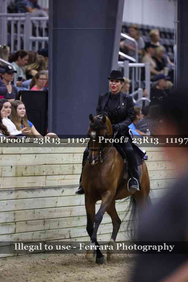 Proof Number 23R13_11197