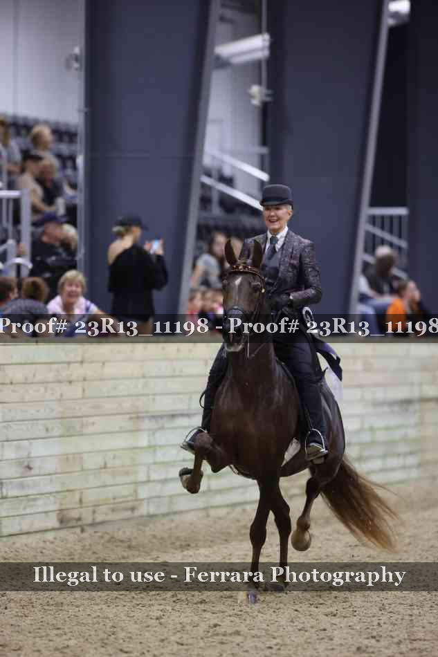 Proof Number 23R13_11198