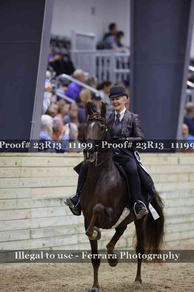 Proof Number 23R13_11199