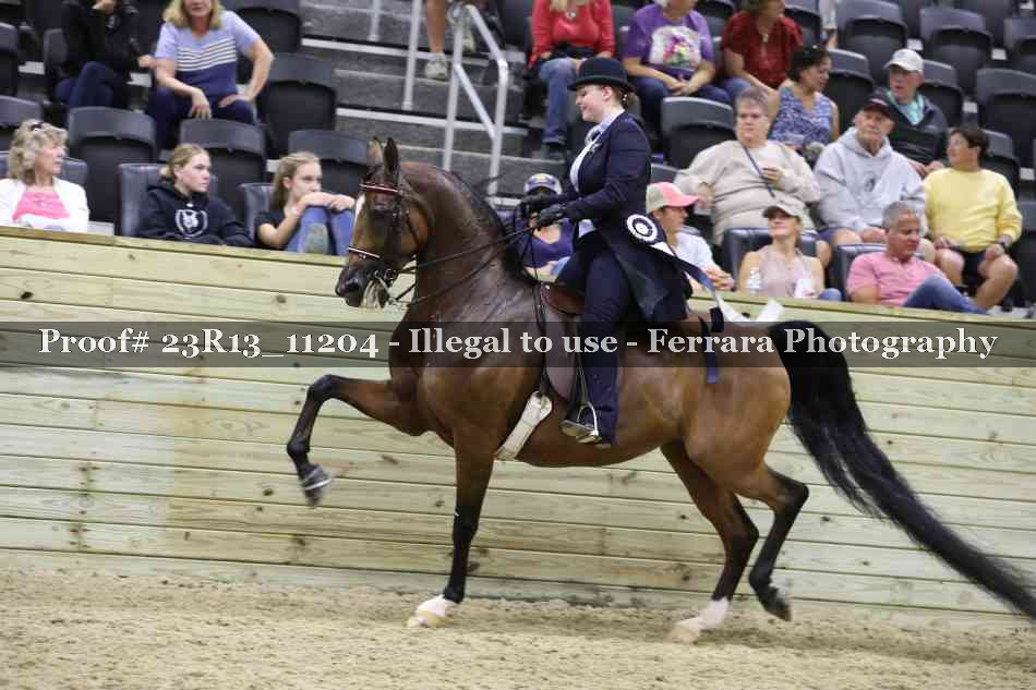 Proof Number 23R13_11204