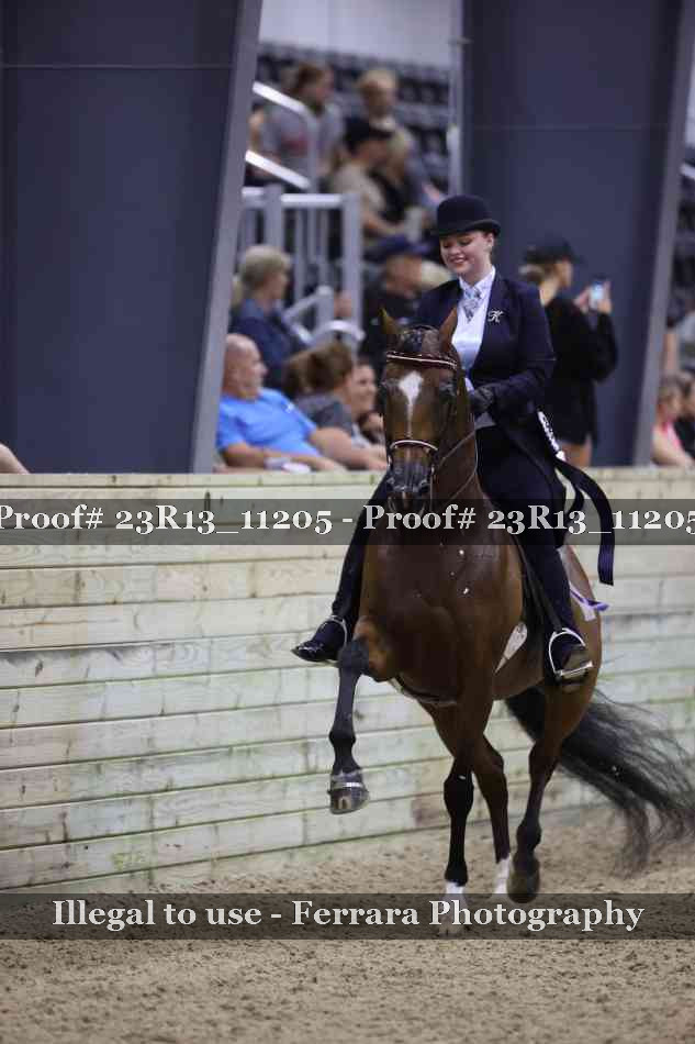 Proof Number 23R13_11205