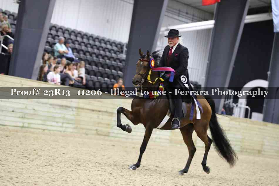 Proof Number 23R13_11206