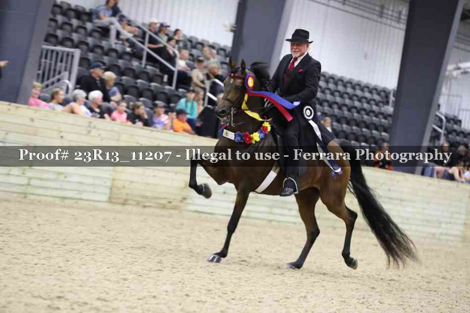 Proof Number 23R13_11207
