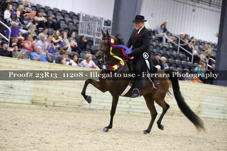 Proof Number 23R13_11208