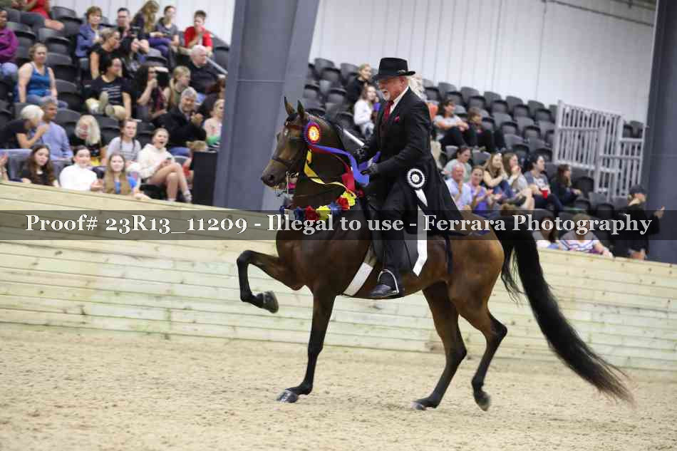 Proof Number 23R13_11209