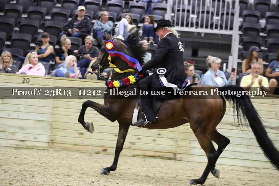 Proof Number 23R13_11212