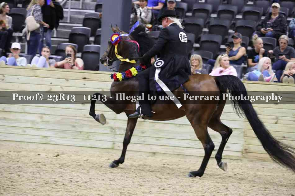 Proof Number 23R13_11213