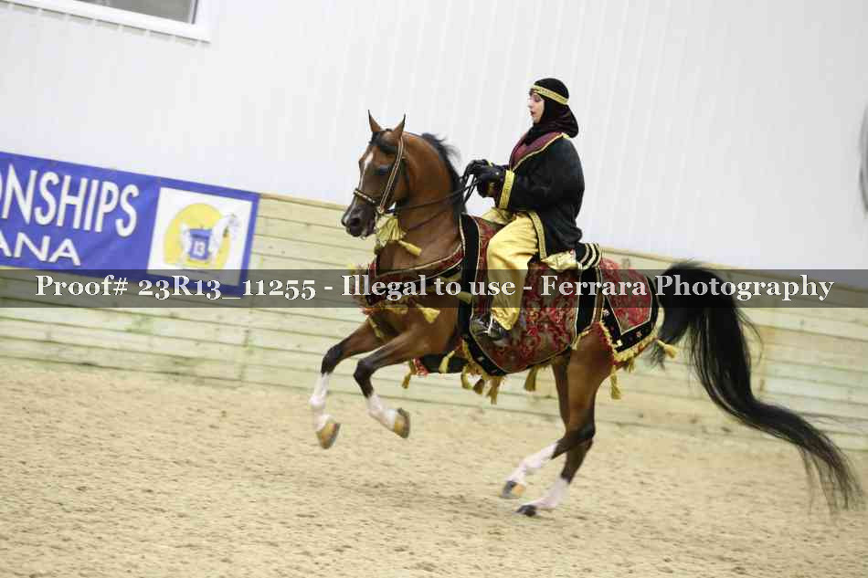Proof Number 23R13_11255