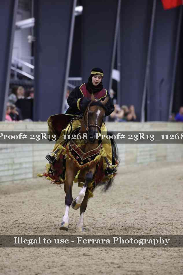 Proof Number 23R13_11268