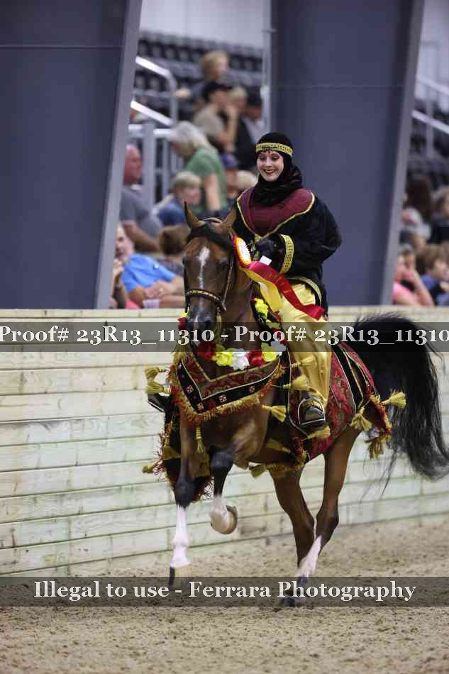 Proof Number 23R13_11310