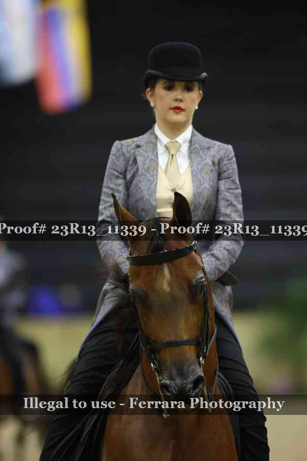 Proof Number 23R13_11339
