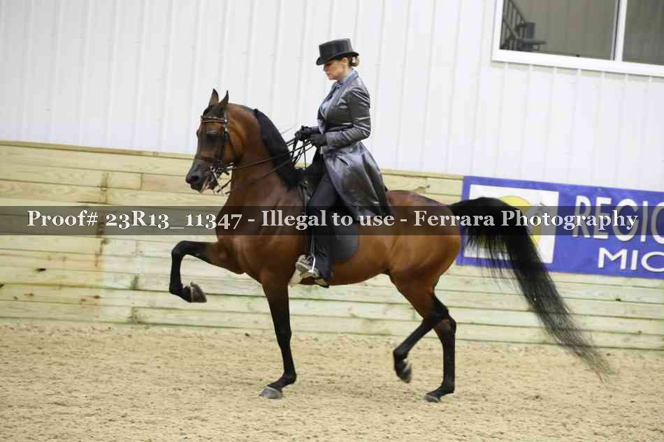 Proof Number 23R13_11347